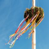 Bild Maibaum